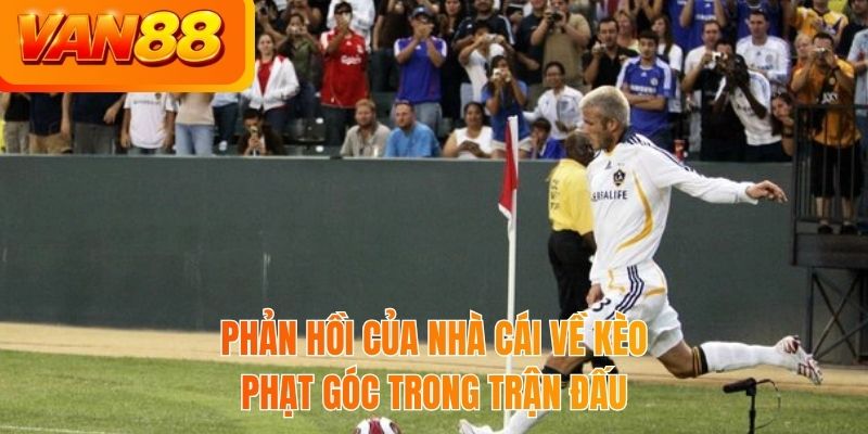 Phản hồi của nhà cái về kèo phạt góc trong trận đấu